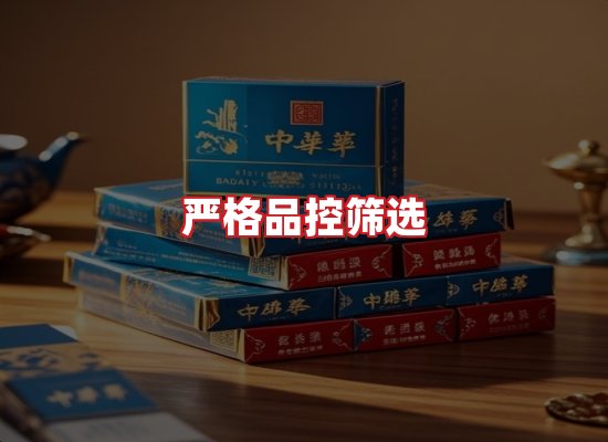 专业团队